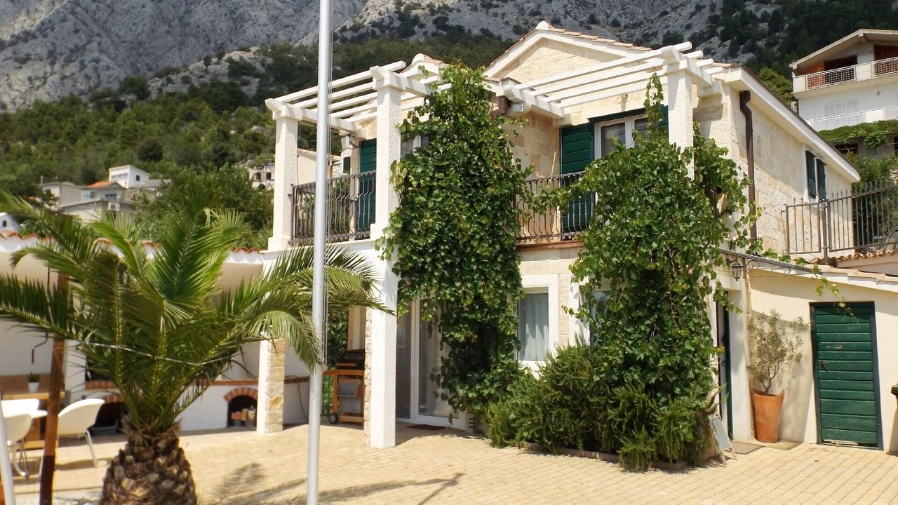 Photo of Outdoor in Bast