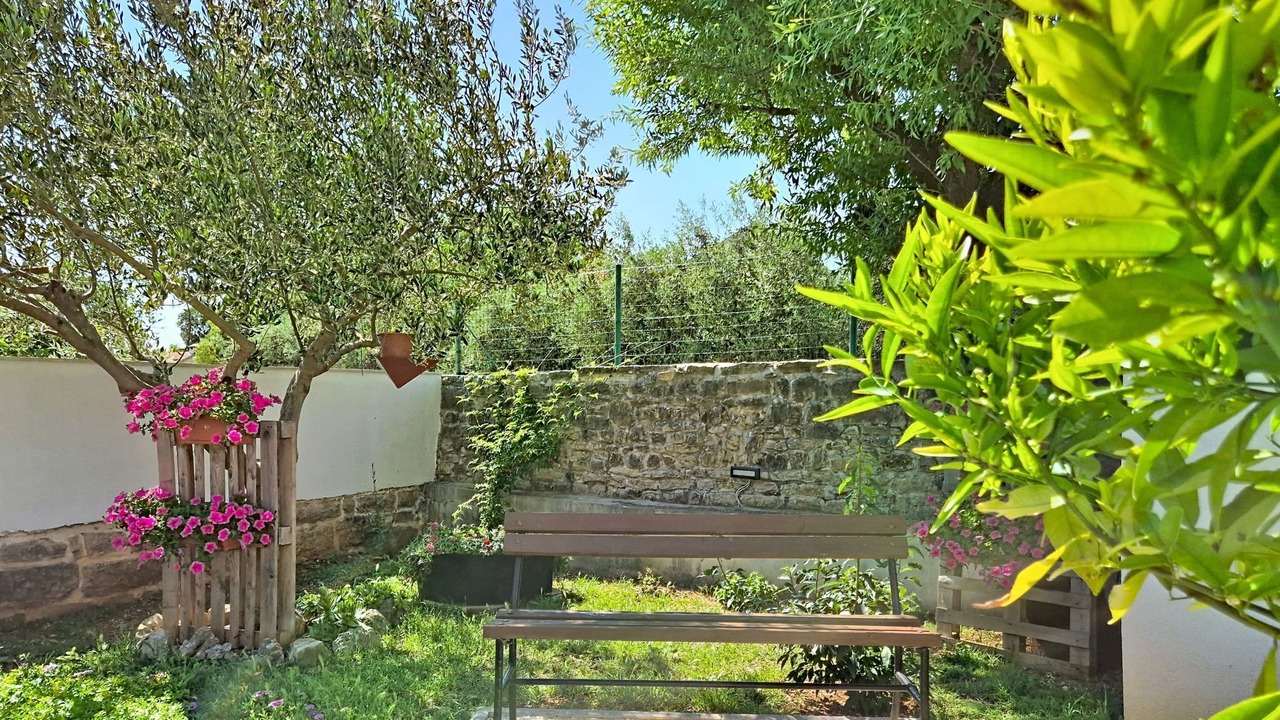 Photo of Others in Pridraga