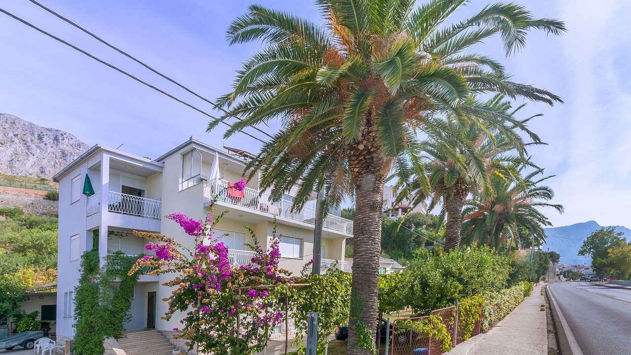Photo of Outdoor in Duce