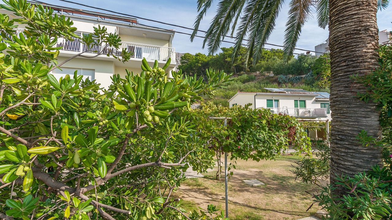 Photo of Outdoor in Duce