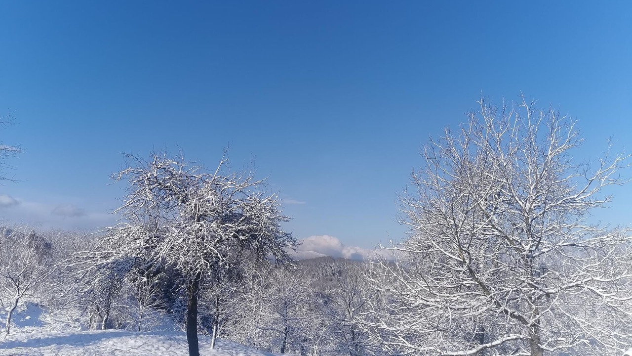 Photo of Others in Brod Moravice