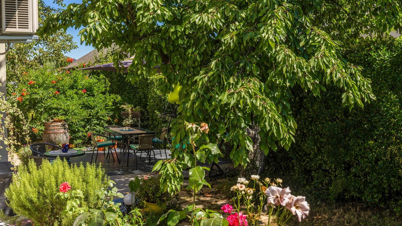 Photo of Outdoor in Sarsoni