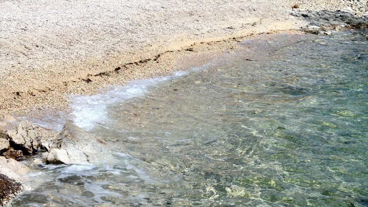 Photo of Others in Vidalici