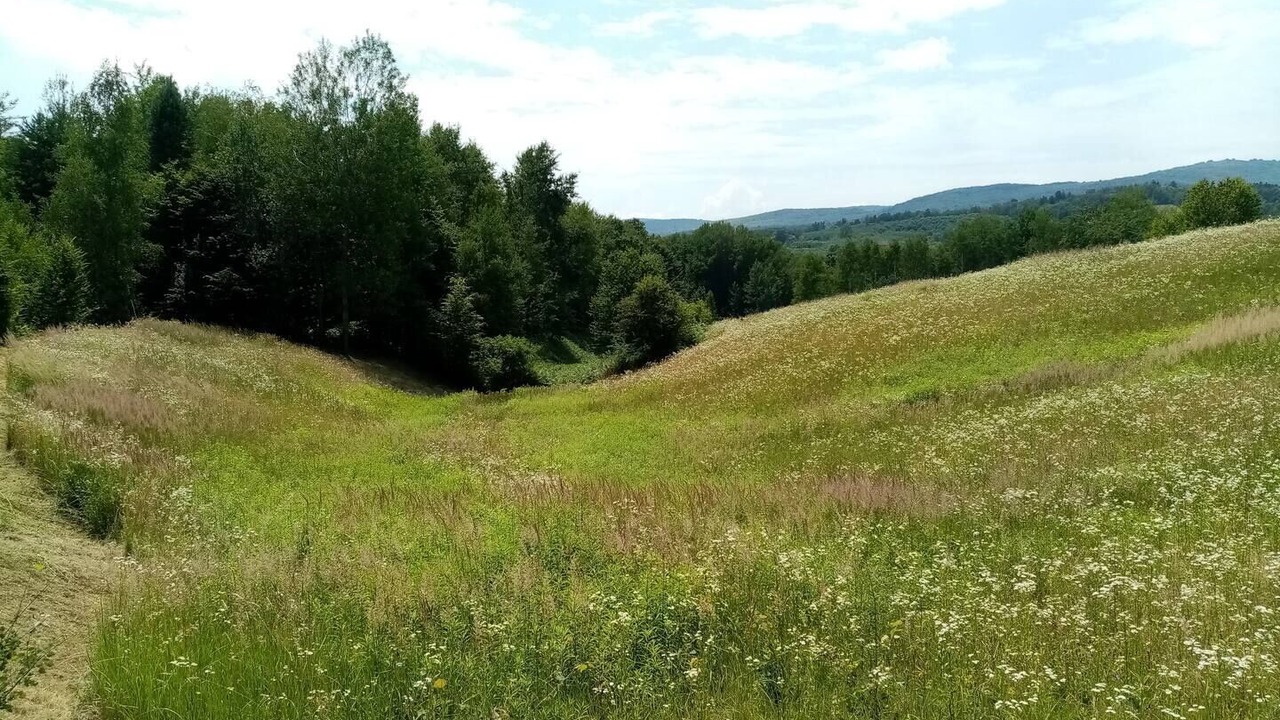 Photo of Outdoor in Sisak-Moslavina