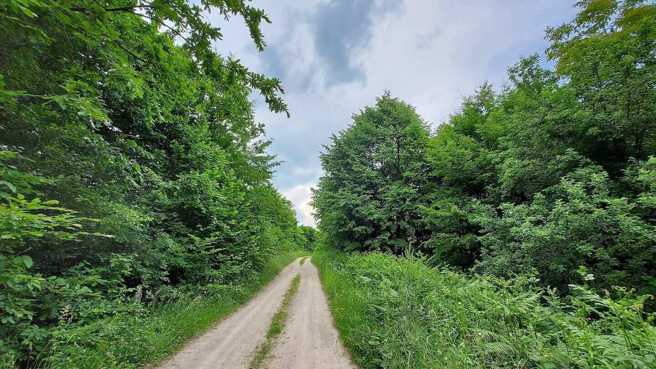 Photo of Outdoor in Sisak-Moslavina