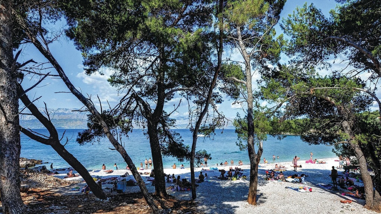 Photo of Others in Splitska