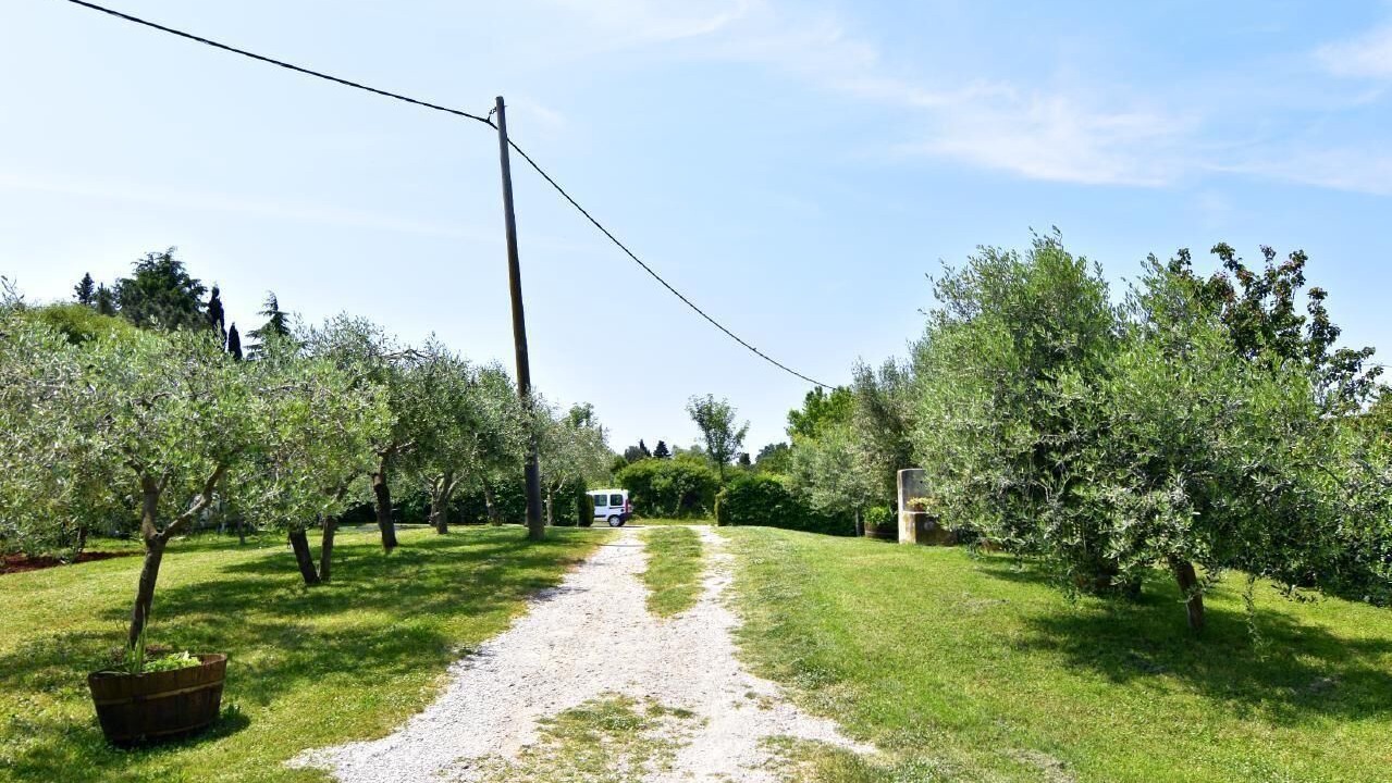 Photo of Outdoor in Đuba