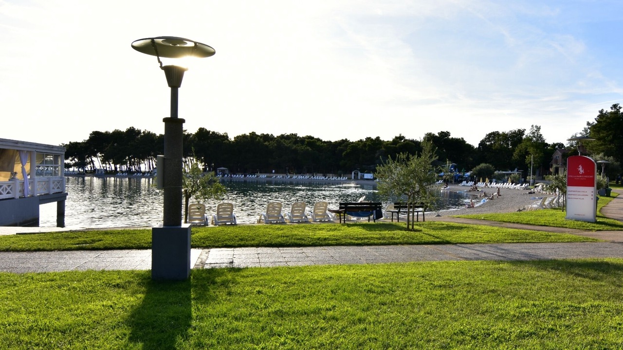 Photo of Outdoor in Murine