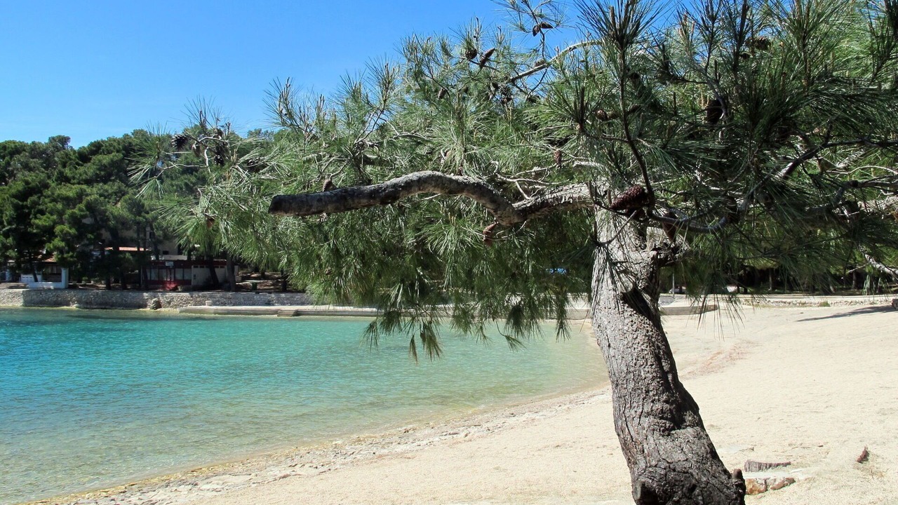 Photo of Others in Mali Losinj