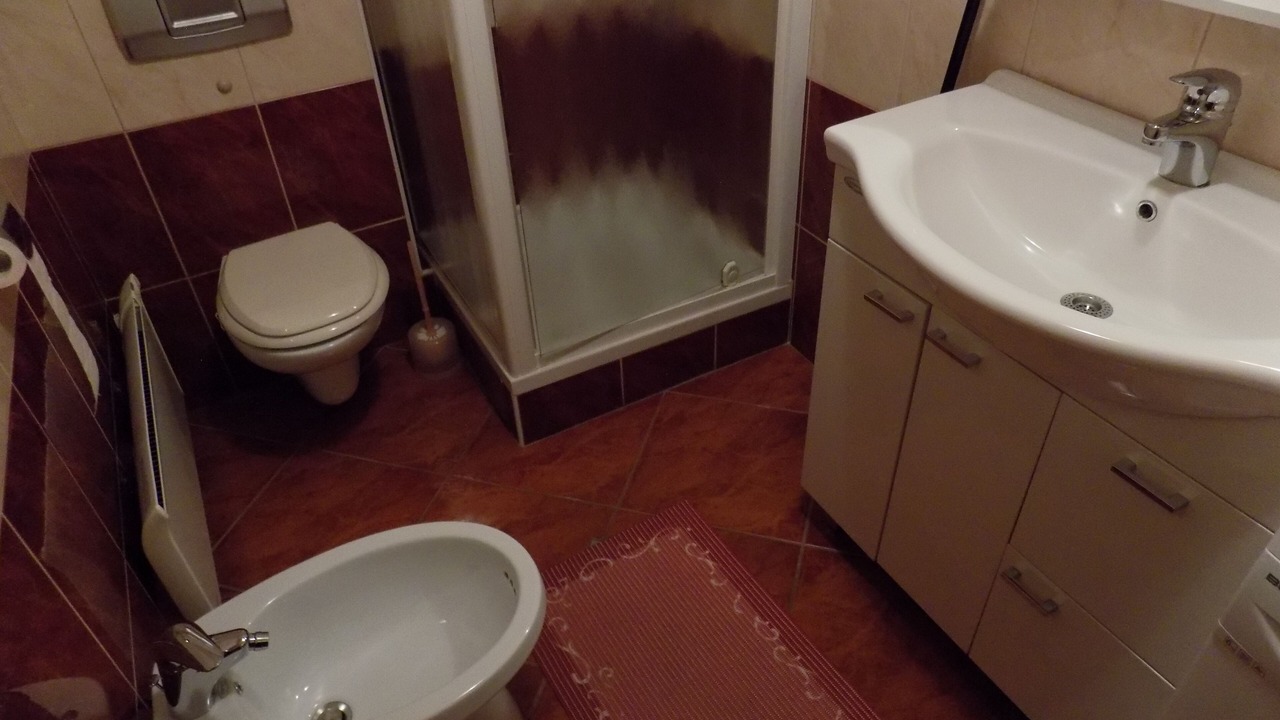 Photo of Bathroom in Slovenska Bistrica