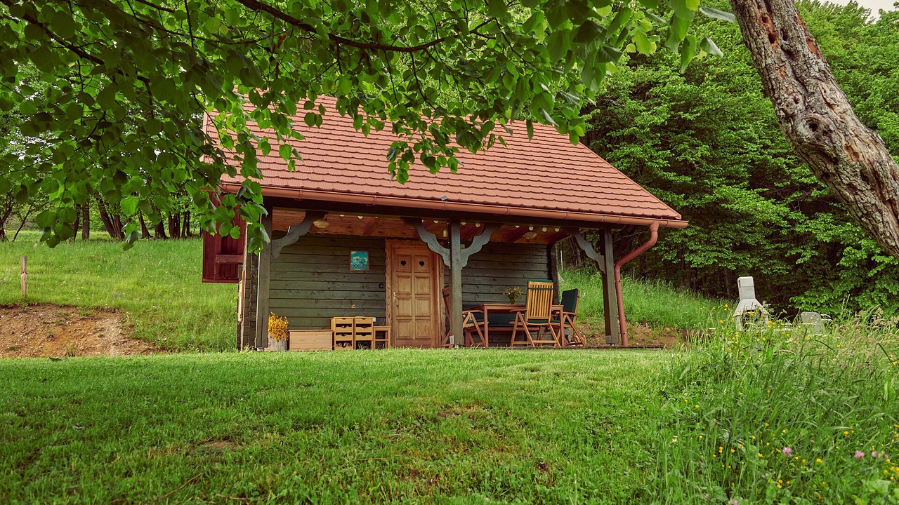 Photo of Outdoor in Olimje
