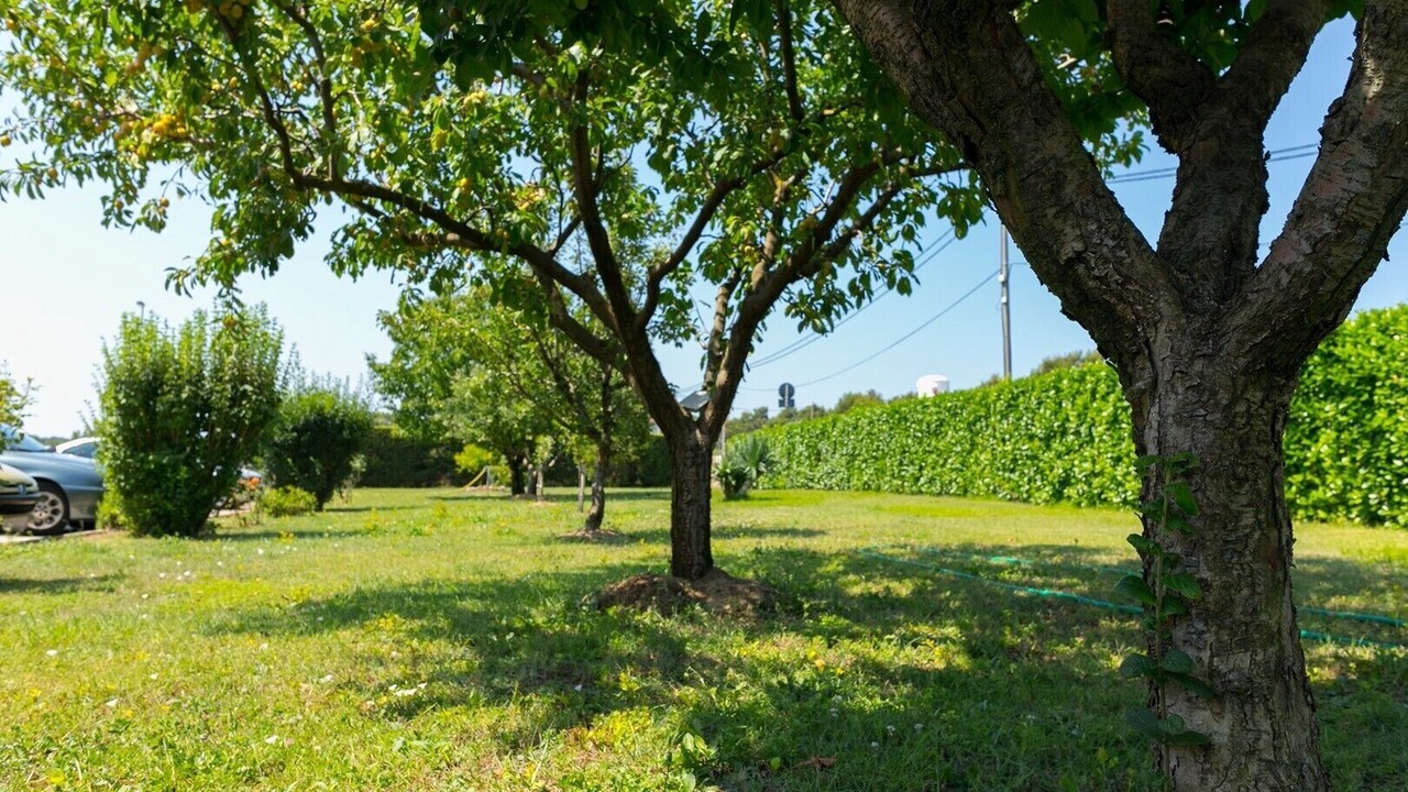 Photo of Outdoor in Pula