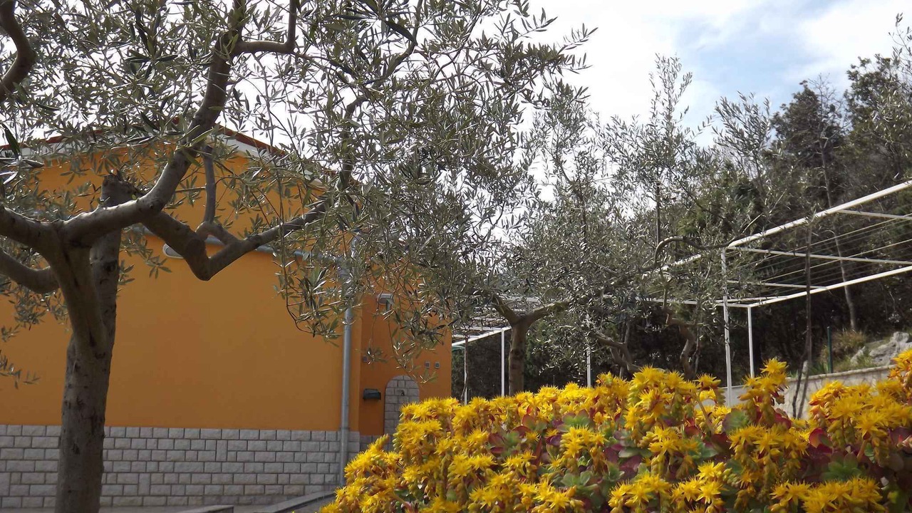 Photo of Outdoor in Ravni