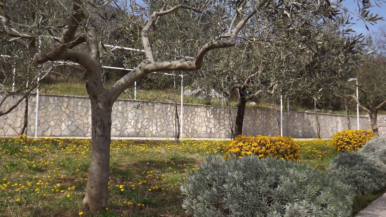 Photo of Outdoor in Ravni