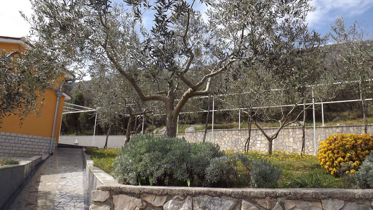 Photo of Outdoor in Ravni
