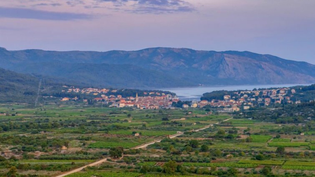 Photo of Others in Stari Grad