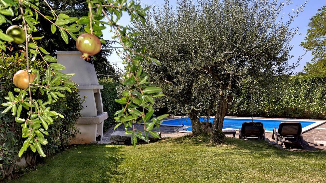 Photo of Outdoor in Kosinozici