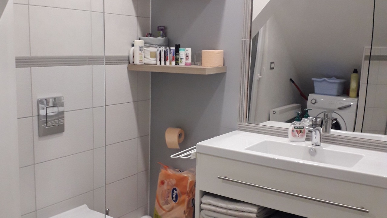 Photo of Bathroom in Breznik Plesivicki