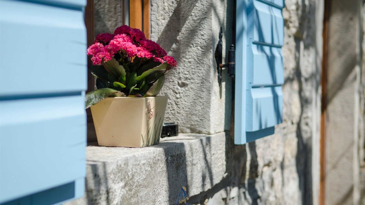 Photo of Outdoor in Buzet