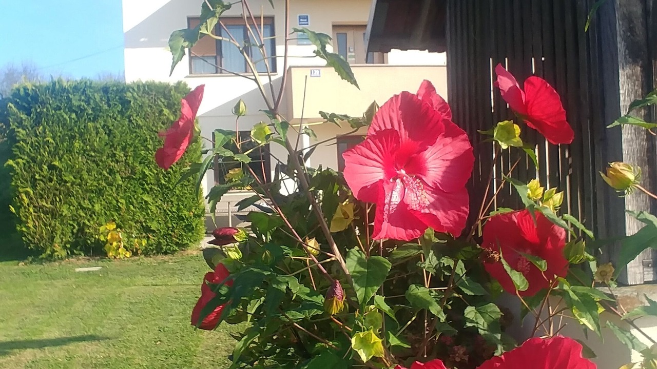 Photo of Outdoor in Grabrovnik