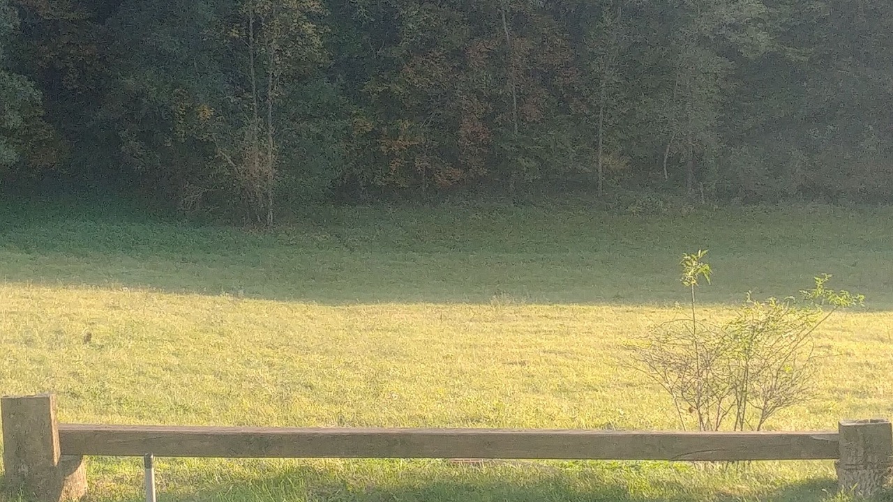 Photo of Outdoor in Grabrovnik