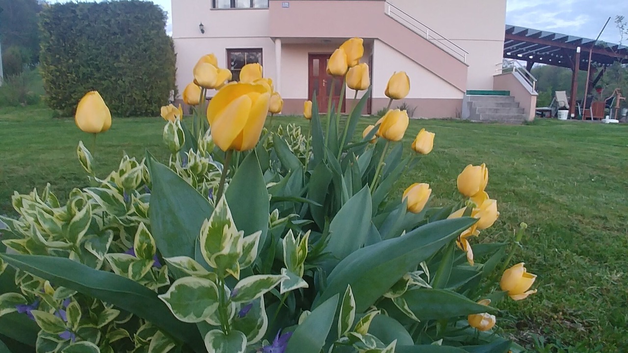 Photo of Outdoor in Grabrovnik