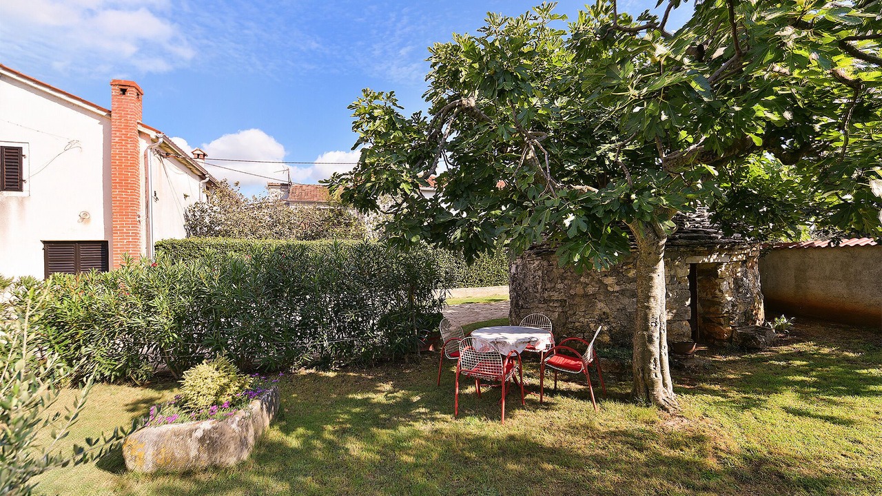 Photo of Outdoor in Galizana