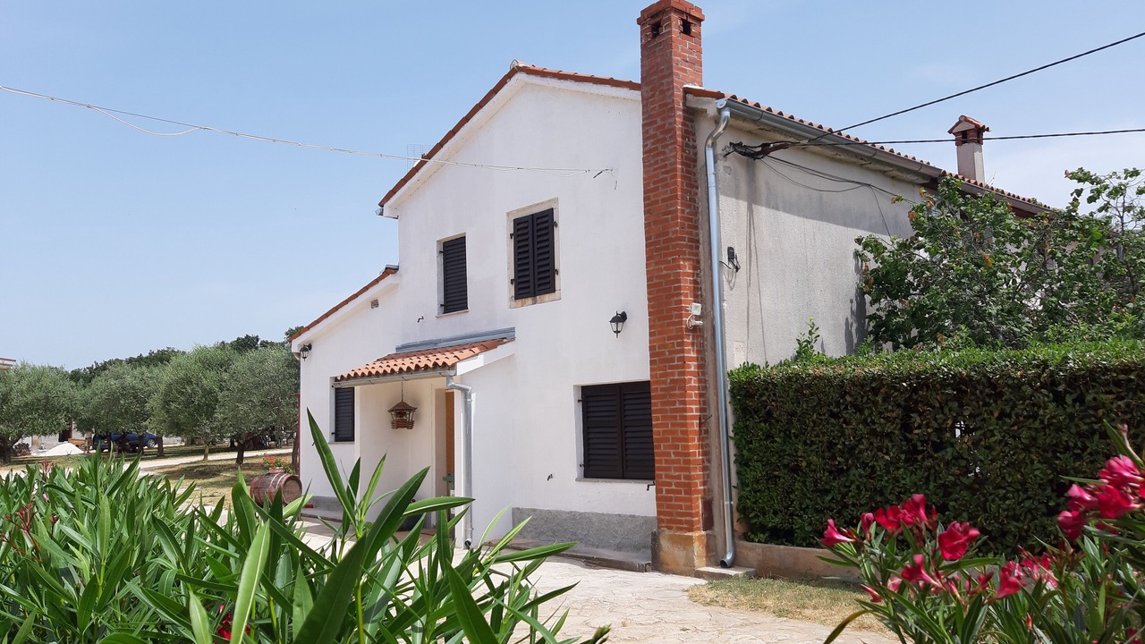 Photo of Outdoor in Galizana