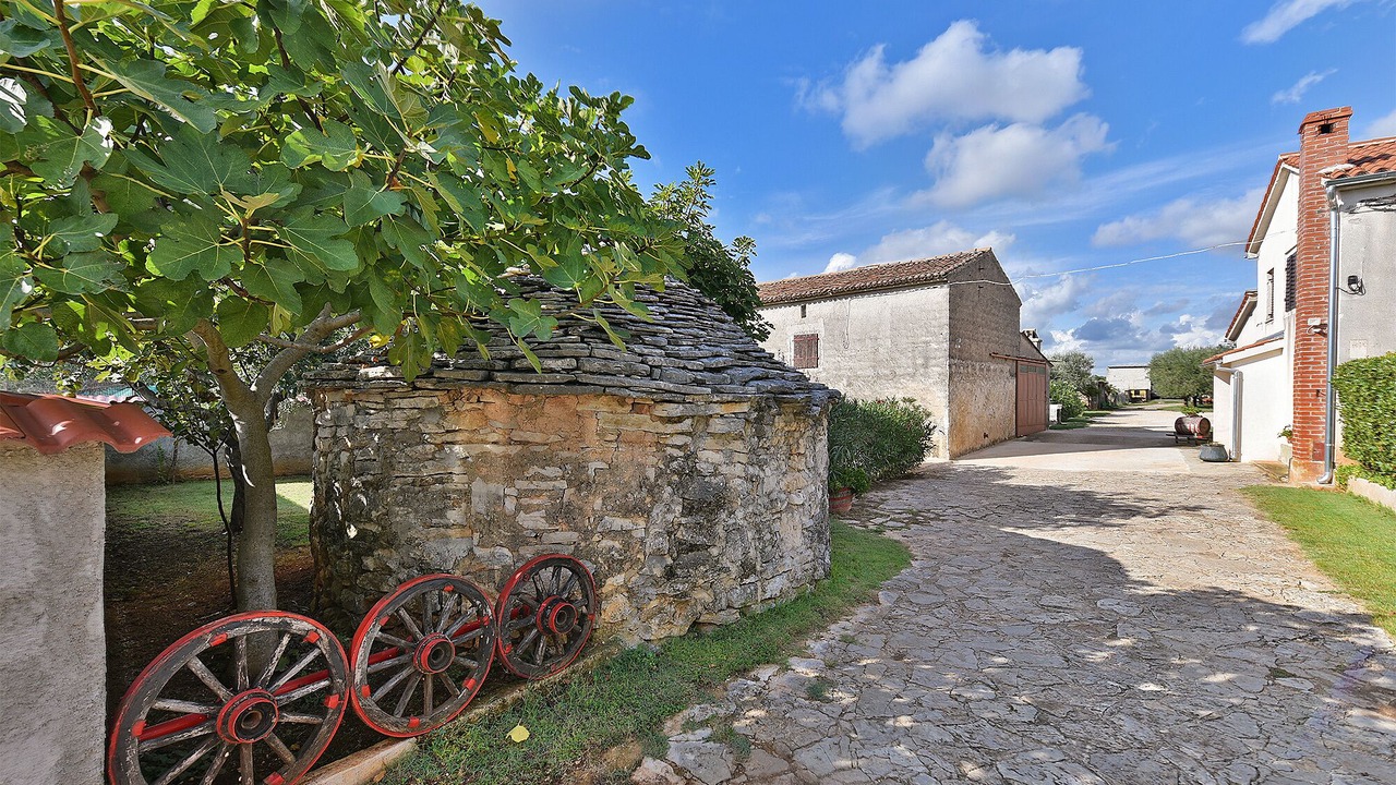 Photo of Outdoor in Galizana