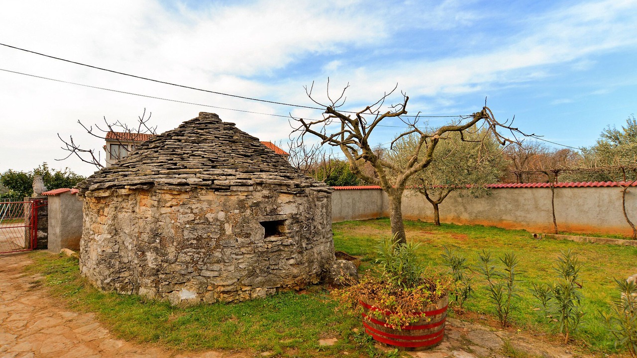 Photo of Outdoor in Galizana