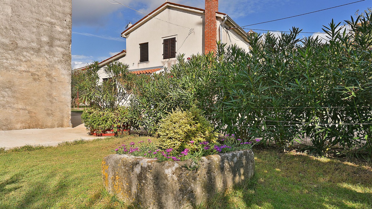 Photo of Outdoor in Galizana