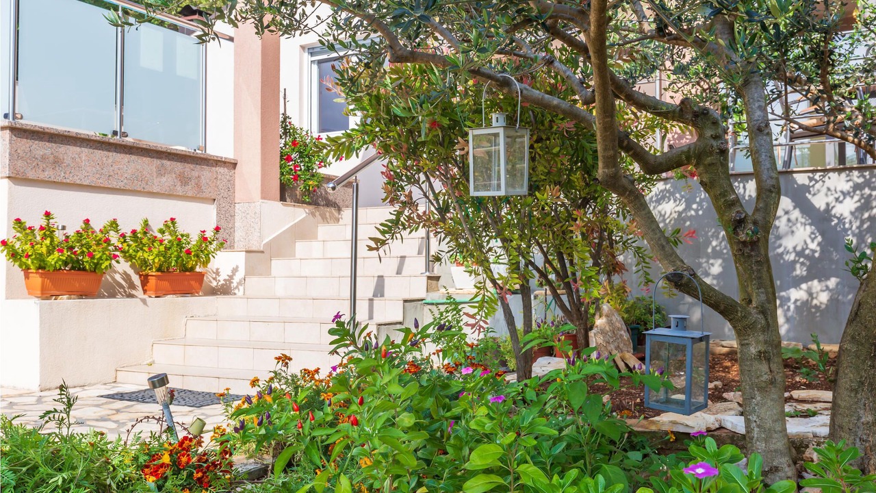 Photo of Others in Dusina