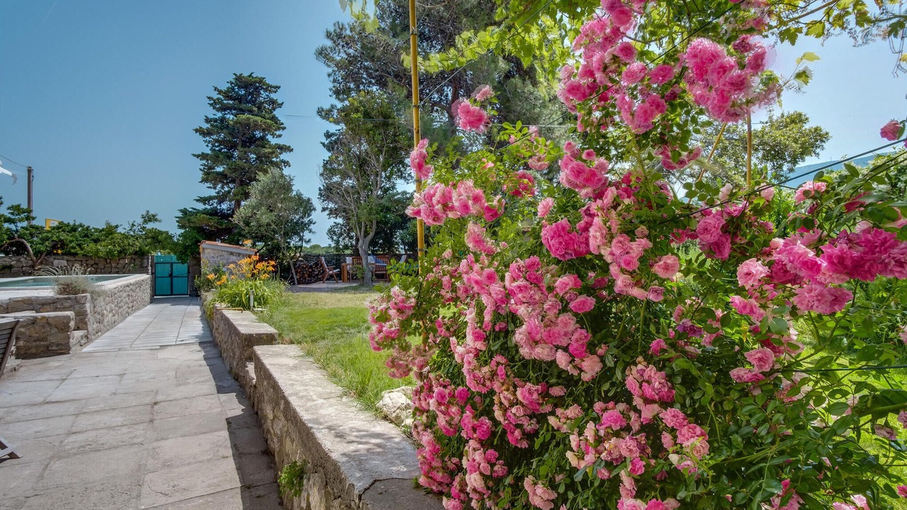 Photo of Outdoor in Mali Losinj