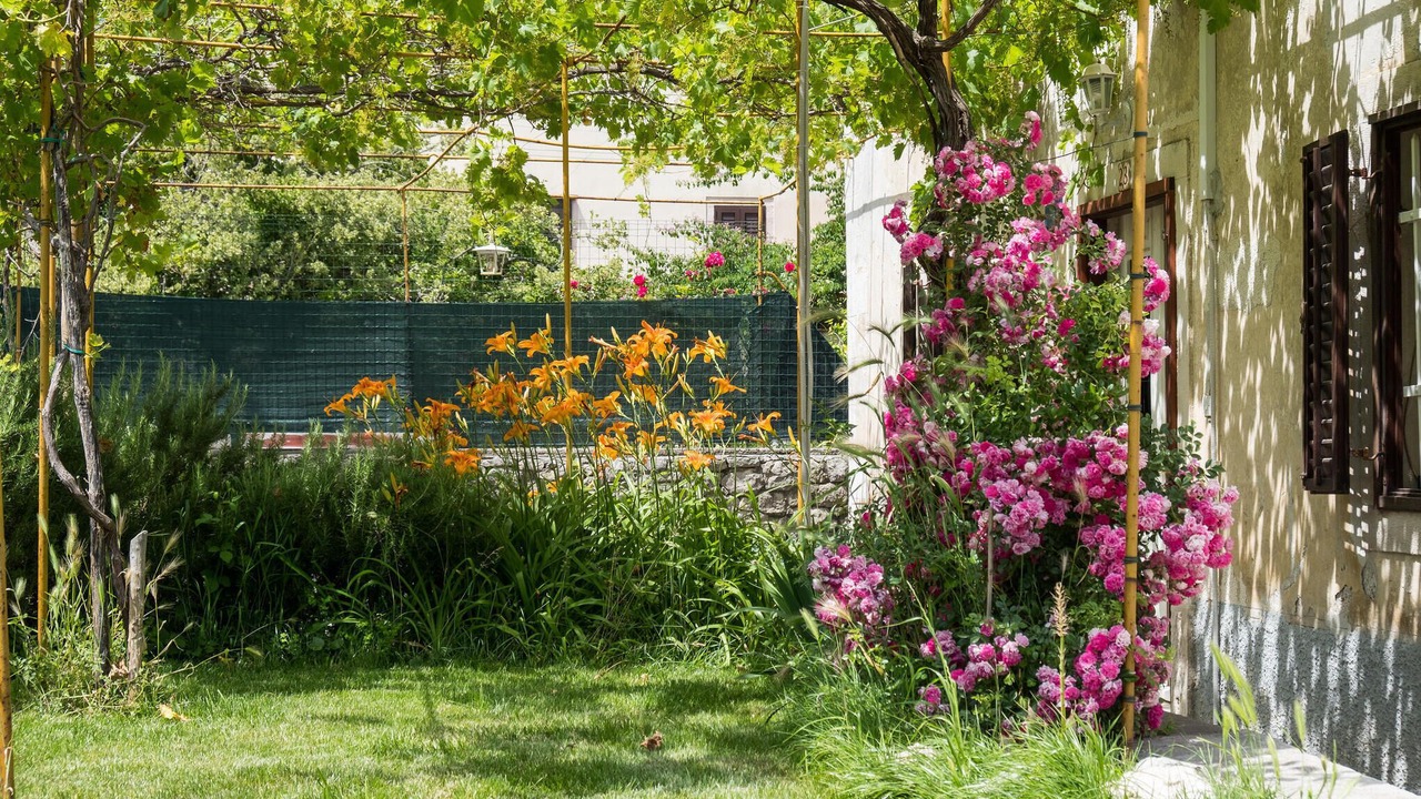 Photo of Outdoor in Mali Losinj