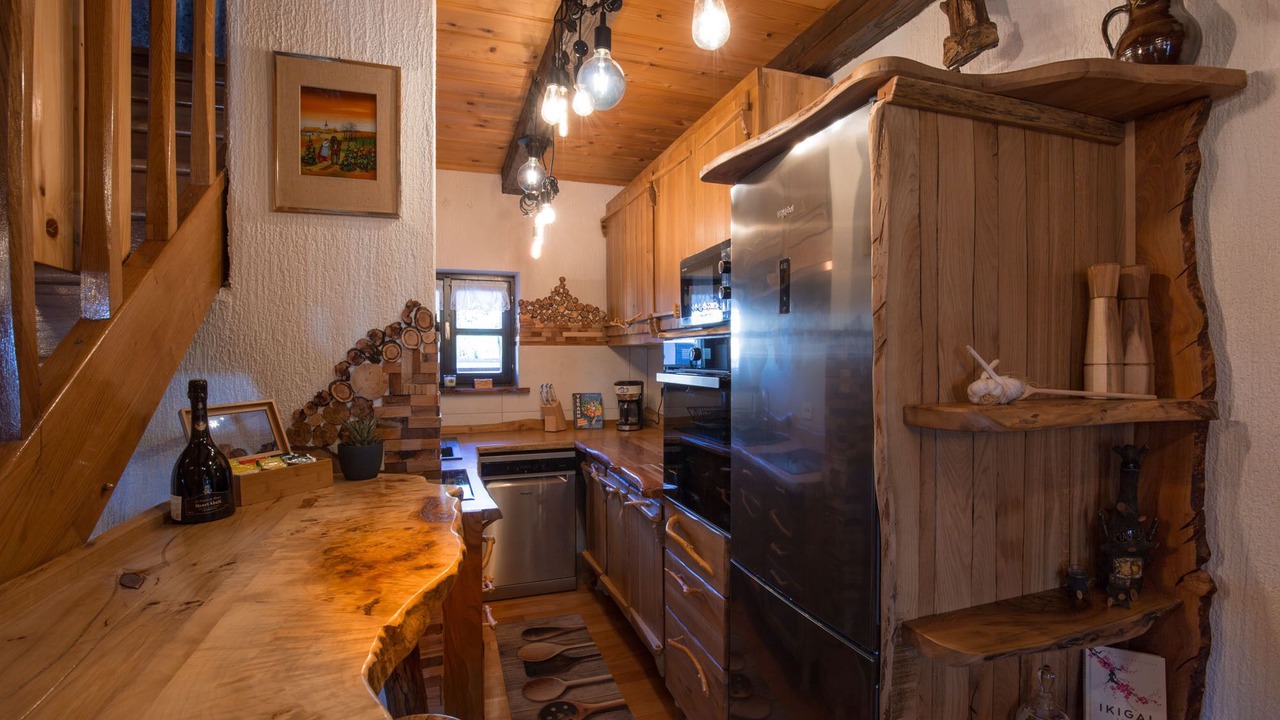 Photo of Kitchen in Selnica