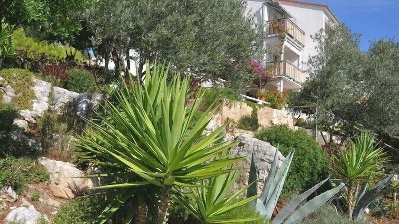 Photo of Outdoor in Pasadur