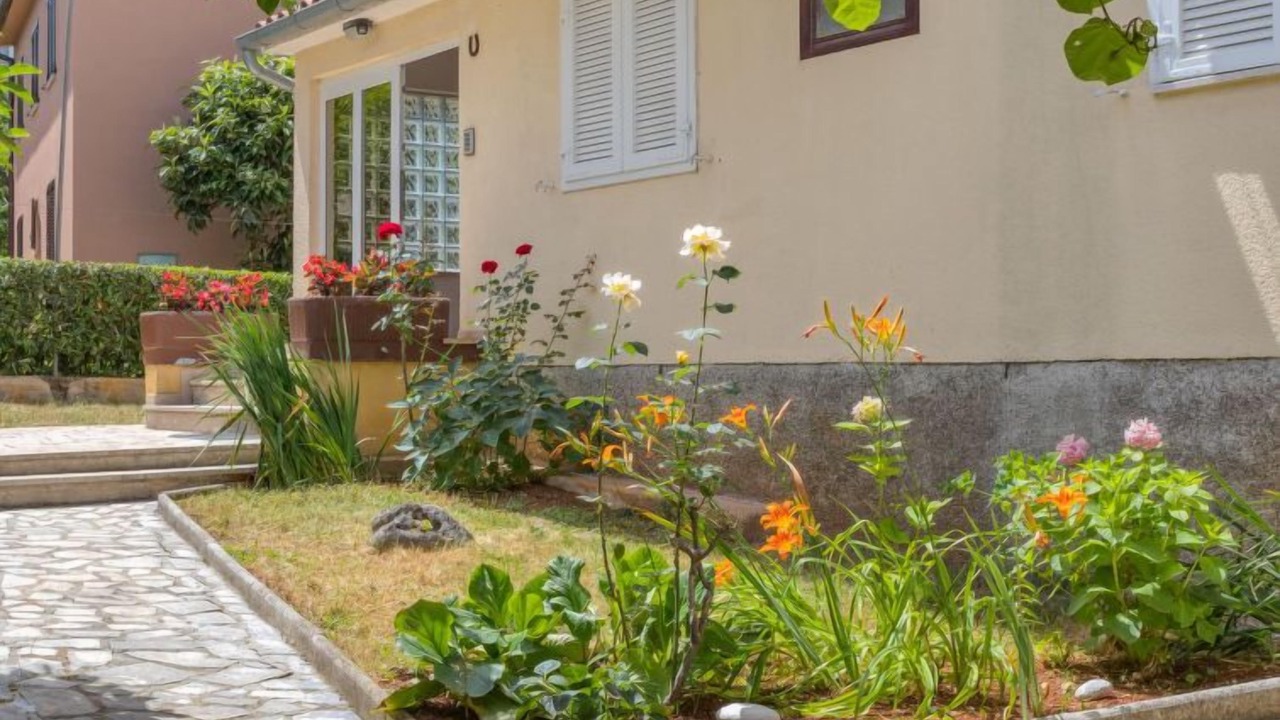 Photo of Outdoor in Spadici