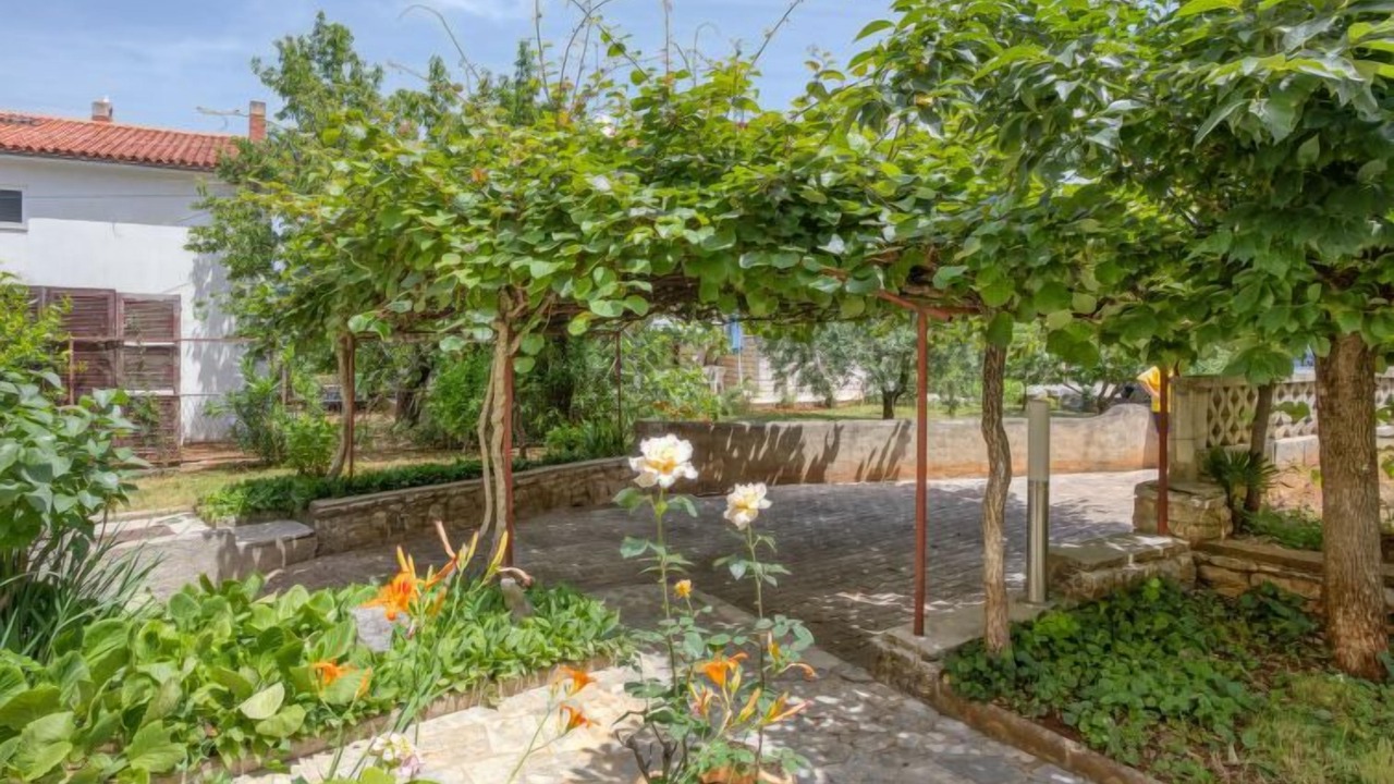 Photo of Outdoor in Spadici