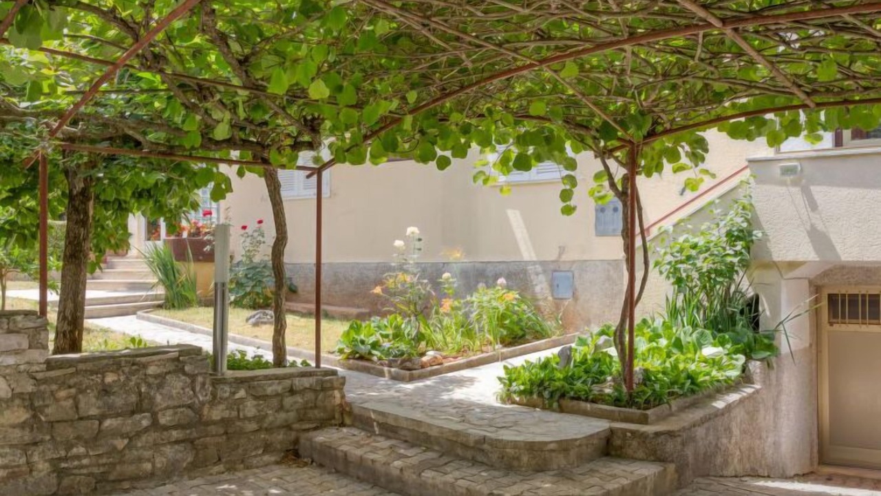 Photo of Outdoor in Spadici