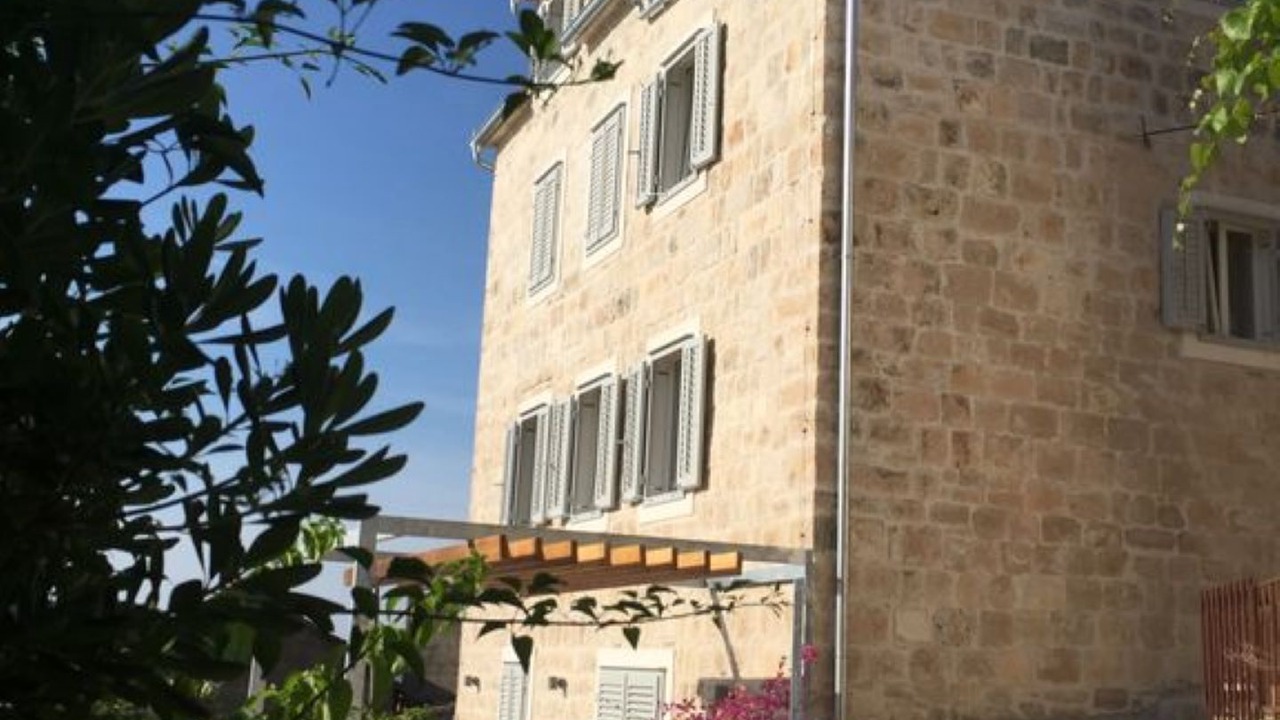Photo of Others in Vis