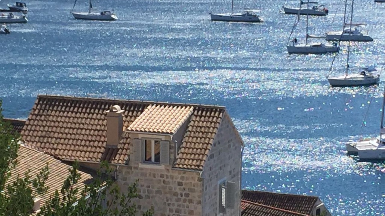 Photo of Others in Vis