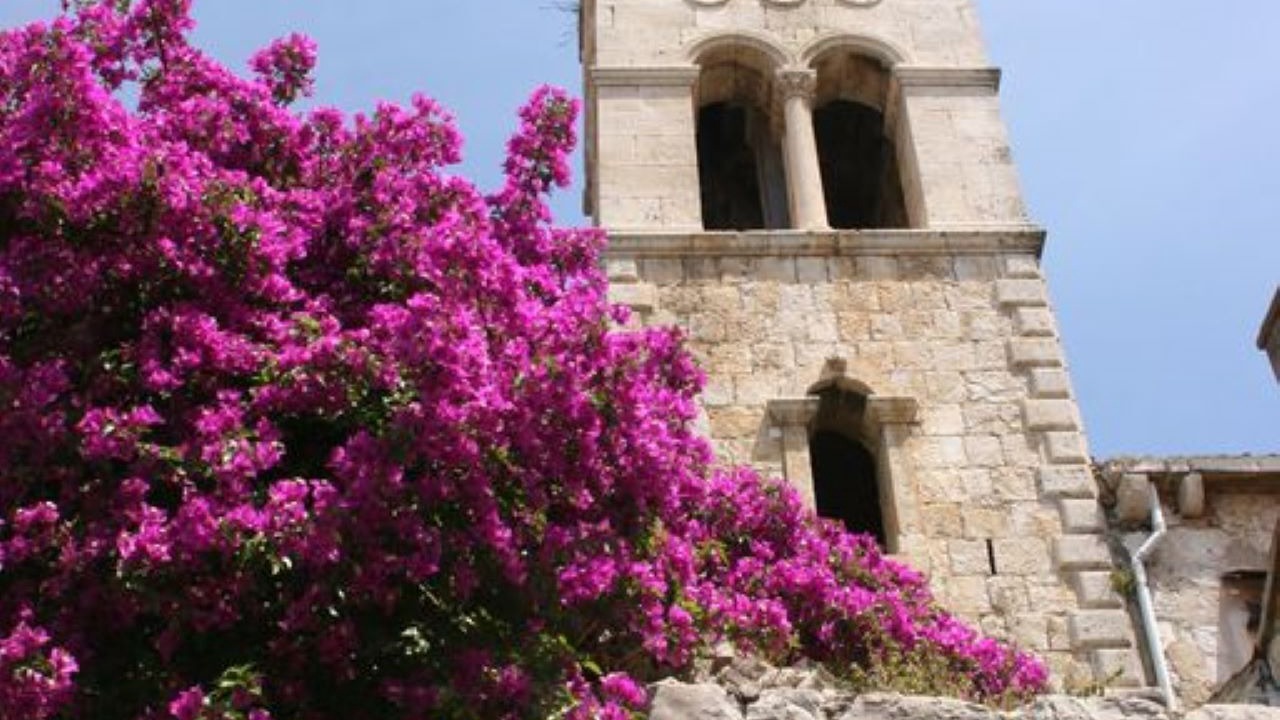 Photo of Others in Vis