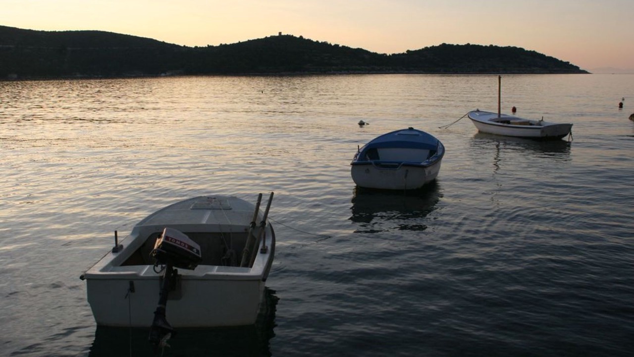 Photo of Others in Vis