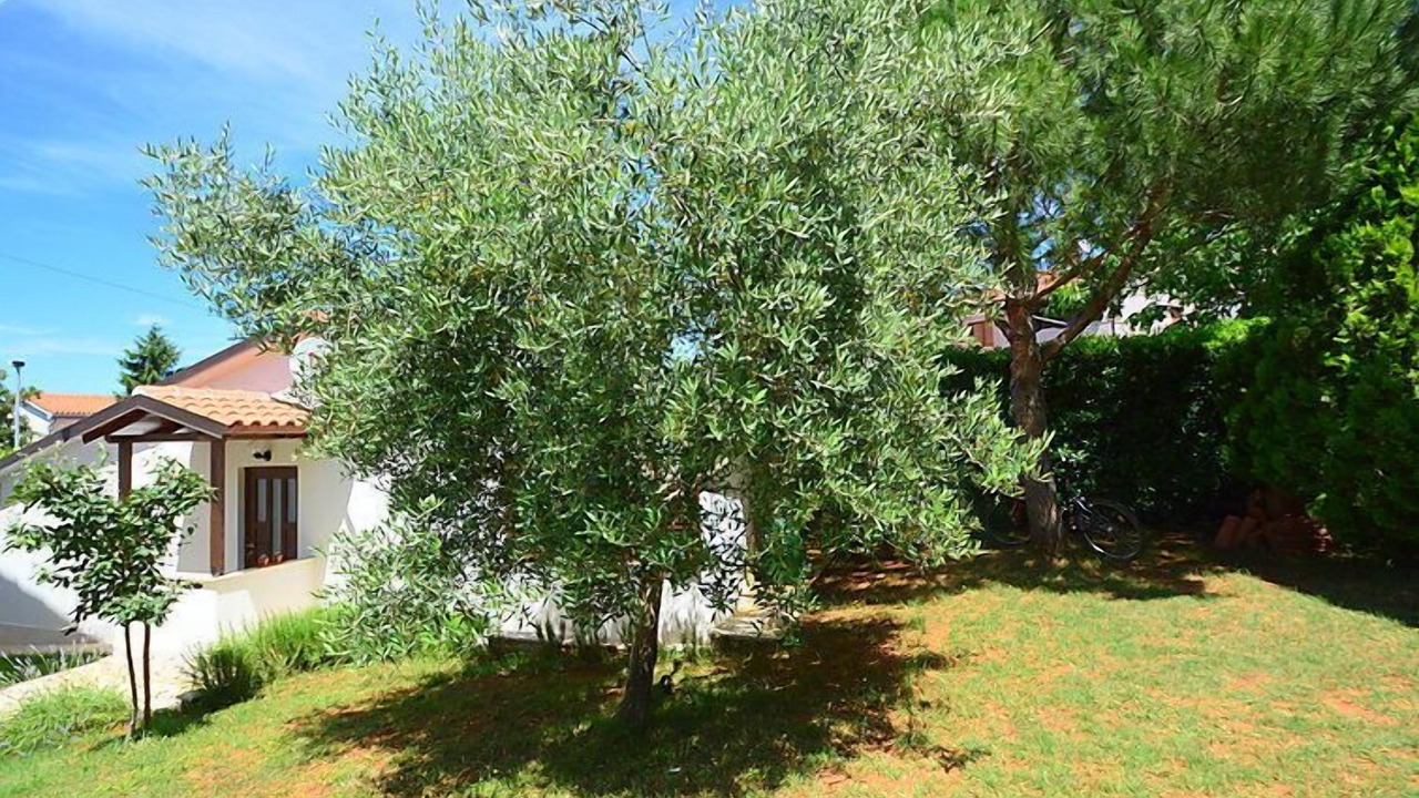 Photo of Outdoor in Stinjan