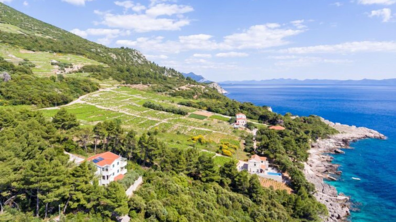 Photo of Outdoor in Orebic