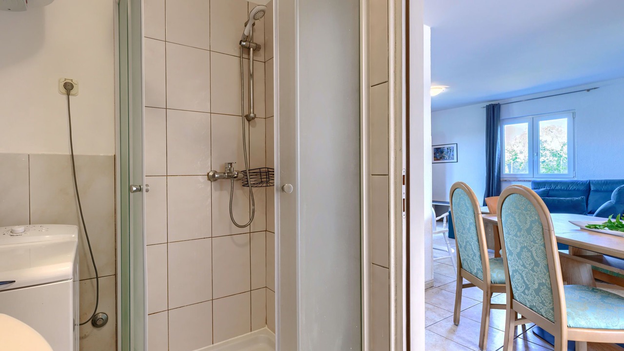 Photo of Bathroom in Petrovija