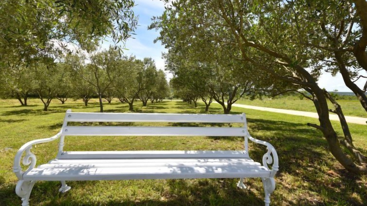 Photo of Outdoor in Tinj