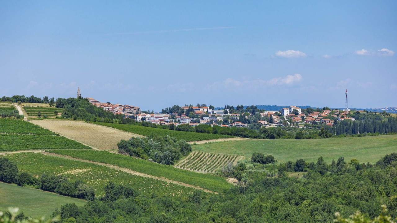 Photo of Others in Baredine