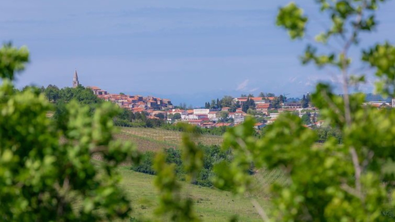 Photo of Others in Baredine