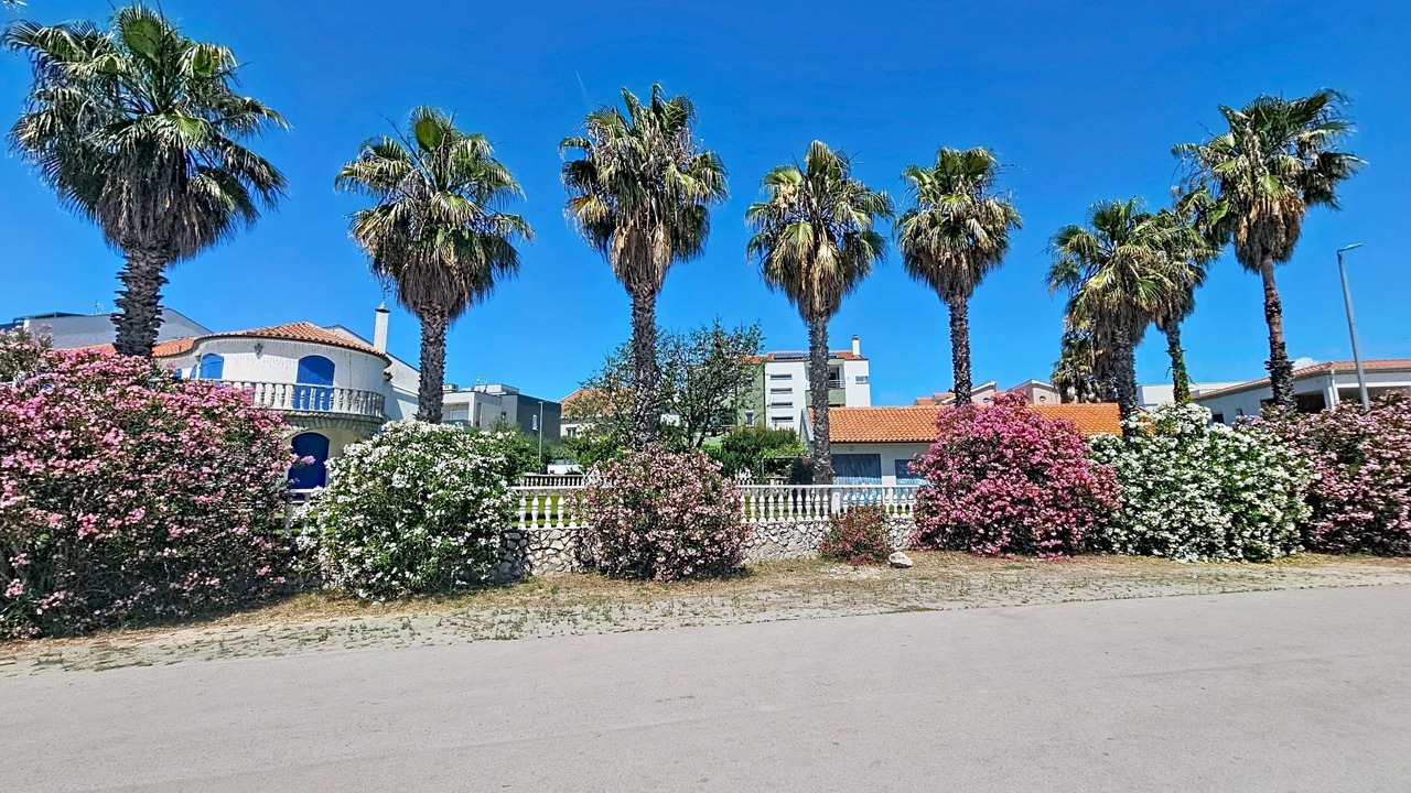 Photo of Others in Bibinje